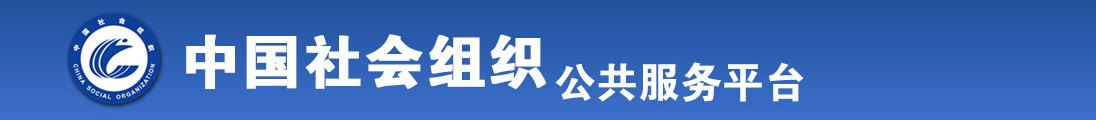 大奶美屄全国社会组织信息查询